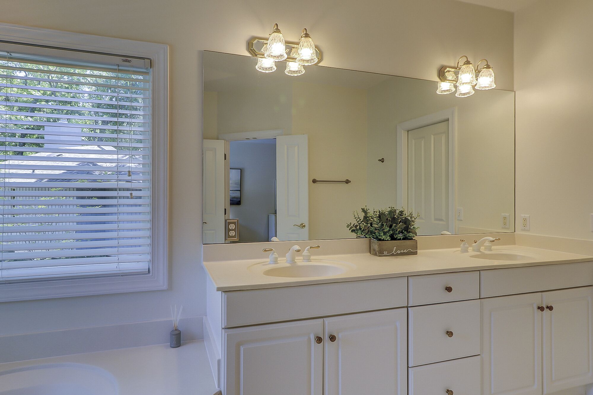 A bathroom with two sinks, a large mirror, and a potted plant on the counter.
