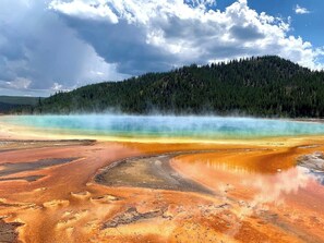 Ein geothermisches Gebiet mit Mineralablagerungen und einer bewaldeten Hügelkulisse.