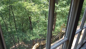 Vista a través de una ventana de un área boscosa con escaleras de madera que bajan.