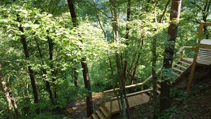 Una escalera de madera en un área boscosa con entorno natural.