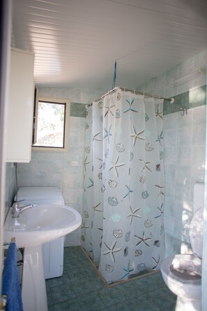 Shower, hair dryer, towels