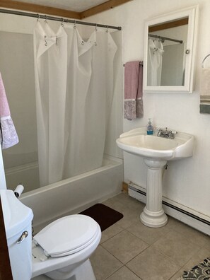 Combined shower/tub, hair dryer, toilet paper