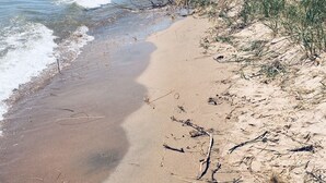 Een zandstrand met zachte golven, een bebost eiland in de verte, en enkele mensen op de achtergrond.