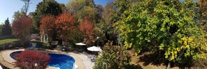 Backyard surrounded by forest