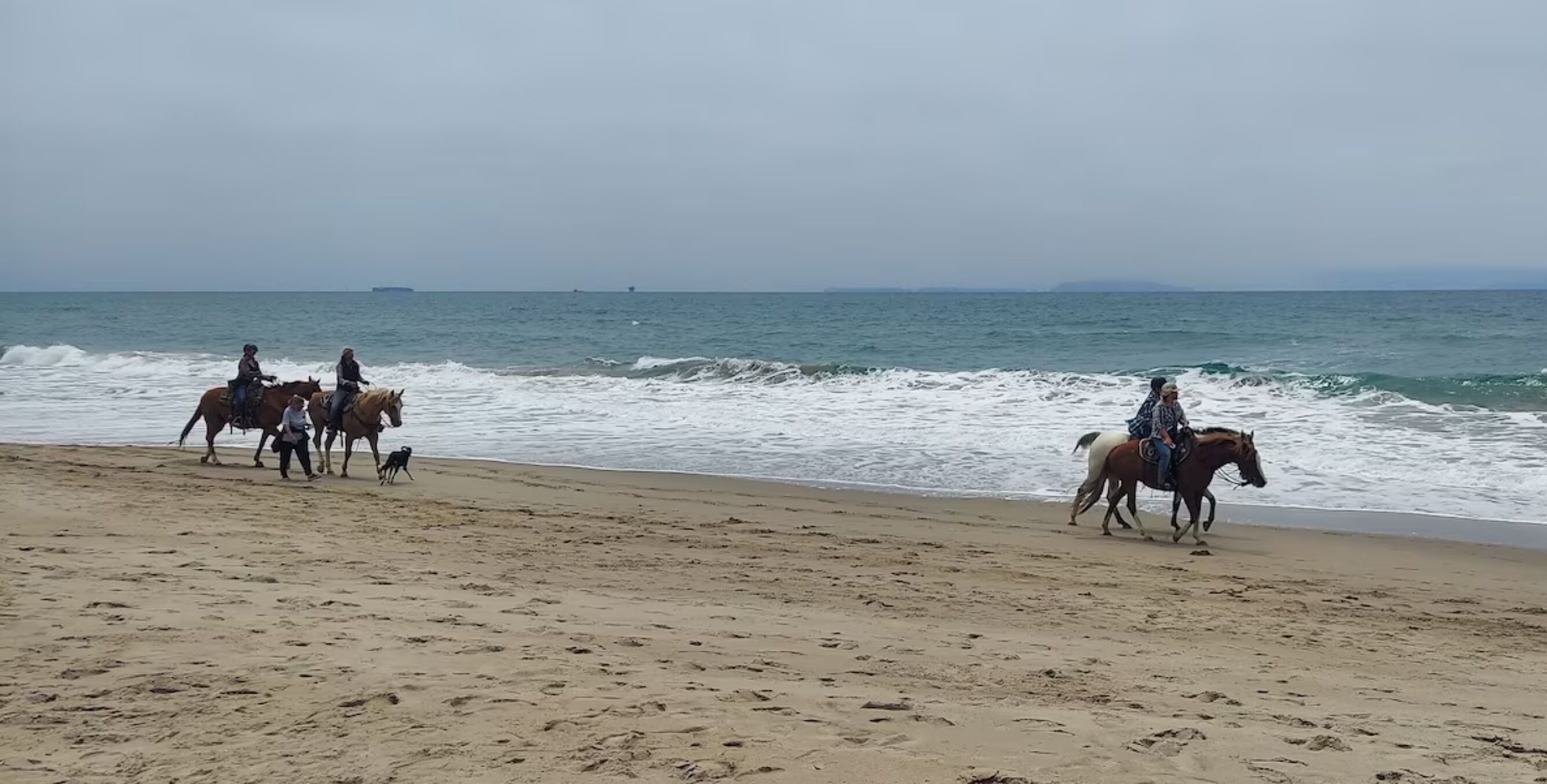 A beach with people riding horses along the shoreline.