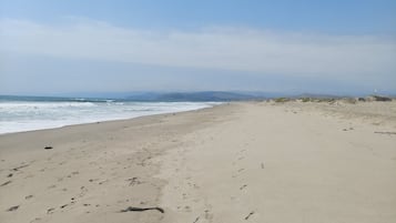 Playa en los alrededores y windsurf 