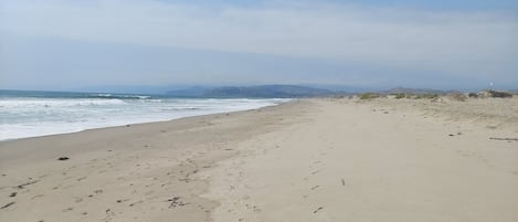 Pantai di sekitar dan selancar angin