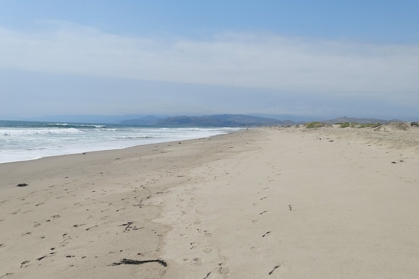 Nära stranden och windsurfing