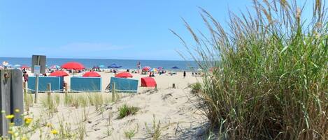 Playa