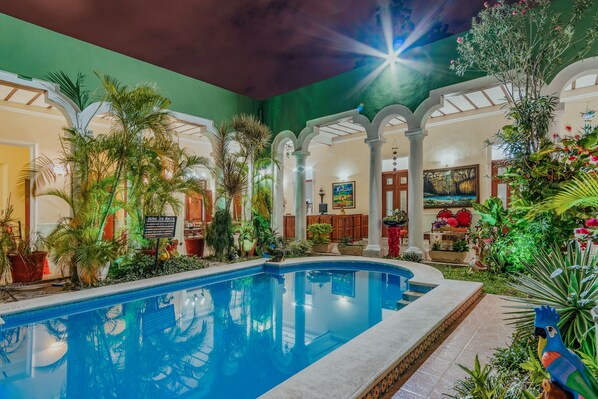 Outdoor pool, sun loungers