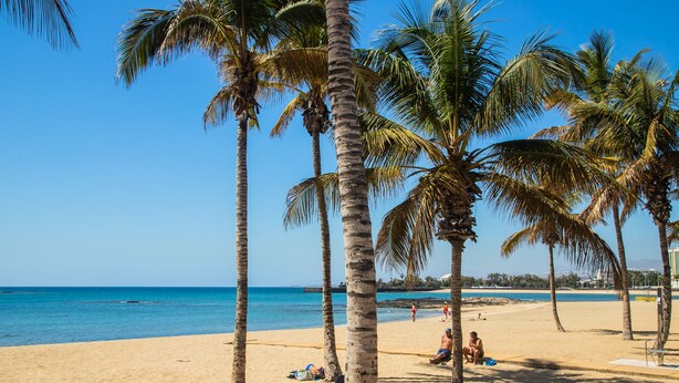 Ein Strand mit Palmen, blauem Himmel und ruhiger See.