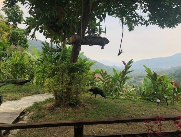 المنطقة المحيطة بالمنشأة