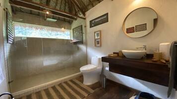 Regadera tipo lluvia, toallas, jabón, shampoo