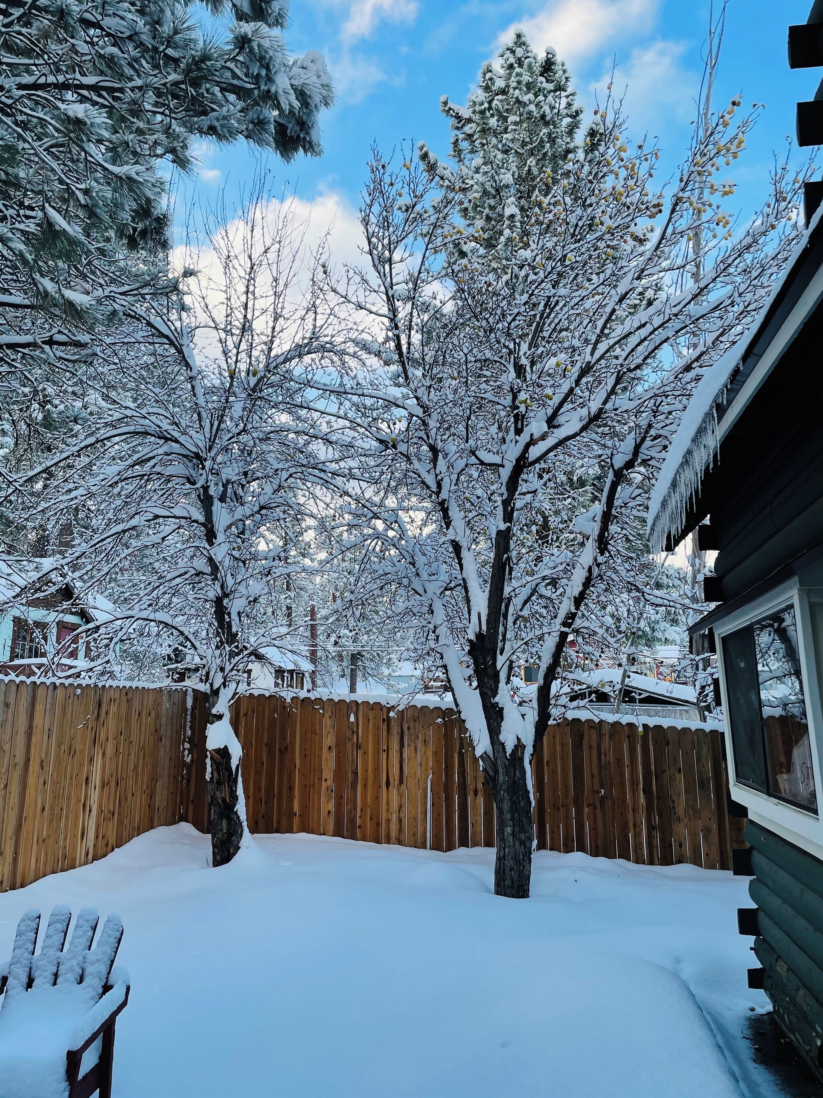Enceinte de l’hébergement
