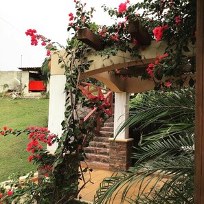 Área da propriedade