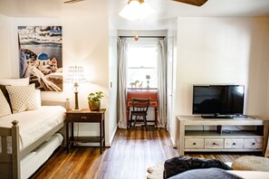 TV, fireplace, DVD player, books - Event Space for Families or Groups (Schuyler)