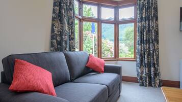 TV, DVD player, books