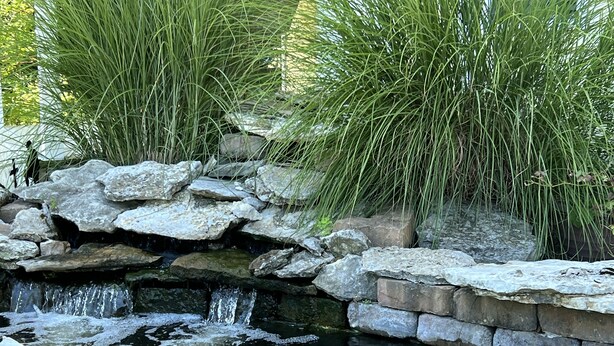 A small waterfall cascading over rocks into a pond surrounded by lush greenery. - Newly remodeled, Hot Tub, 70n inch tv Private Entrance, Convenient location (Lebanon)