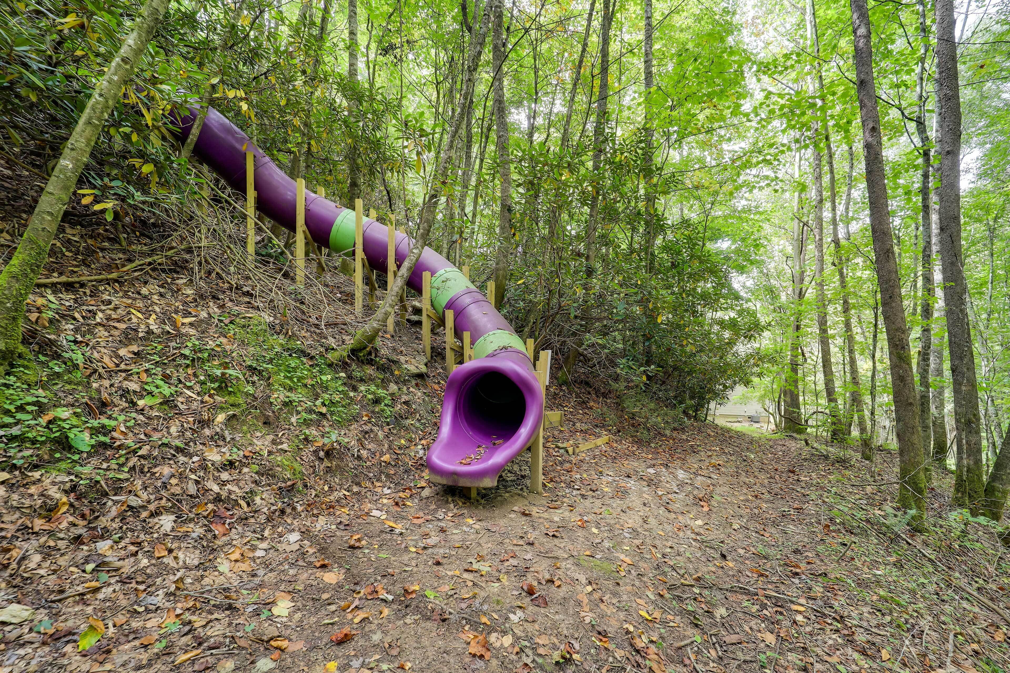 Un'area boscosa con una struttura giochi con scivolo viola.
