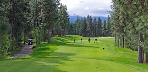 Un campo de golf con un sendero, árboles y una montaña distante.
