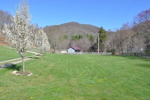 Property grounds - The Grey Cabin at Highland Hideaways (mouth of wilson)