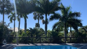 A swimming pool with a wooden deck, surrounded by palm trees and a fence.