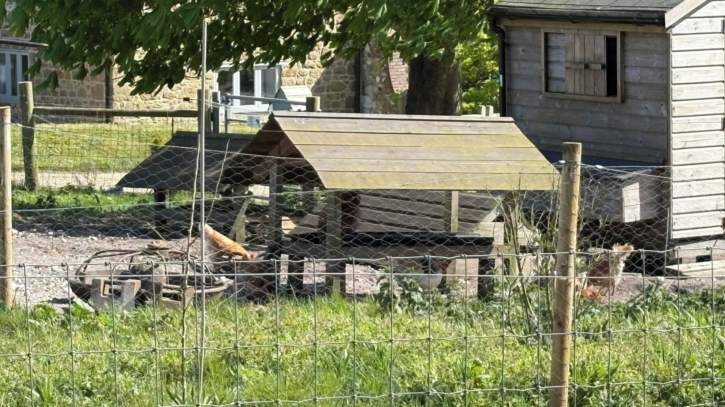 A rustic wooden structure with a slanted roof, surrounded by a wire fence.