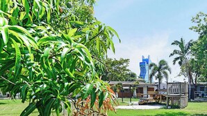 A lush green area with a modern building in the background.