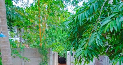 The Well's Serenity Beach house (Beachside Guest house)