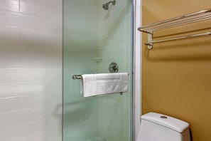 A bathroom with a glass shower enclosure, a white toilet, and a towel rack. - Quality Inn and Suites Pawleys Island SC (Pawleys Island)