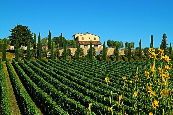 المنشأة من الخارج