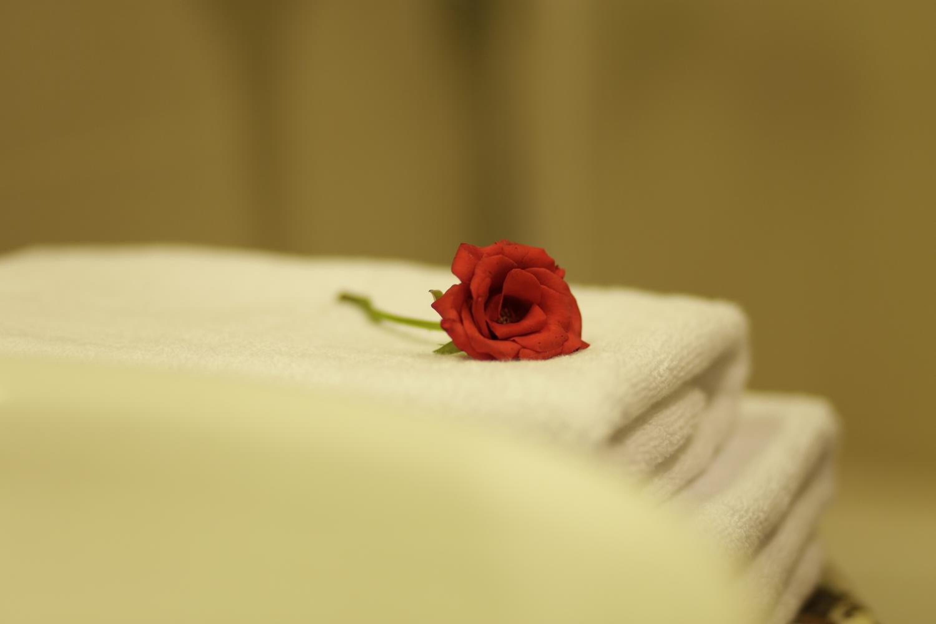 A stack of white towels with a single red rose placed on top.