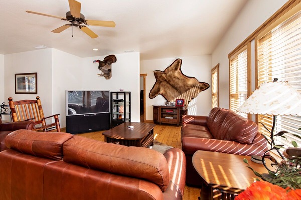 Living room with television