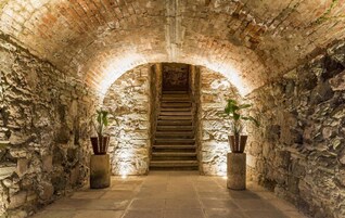 Una escalera de piedra que sube a un nivel superior, flanqueada por muros con plantas en macetas.
