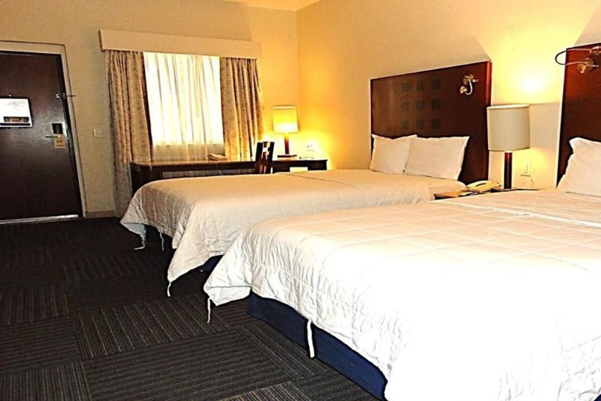 Habitación de hotel con dos camas, una puerta, una ventana con cortinas y una mesita de noche con lámpara.