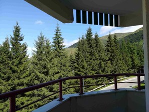 Ein Balkon mit Geländer, der auf ein bewaldetes Gebiet mit hohen Bäumen und eine Straße in der Ferne blickt.