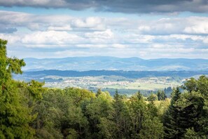 Vista panorámica de un pueblo rodeado de colinas y densos bosques.