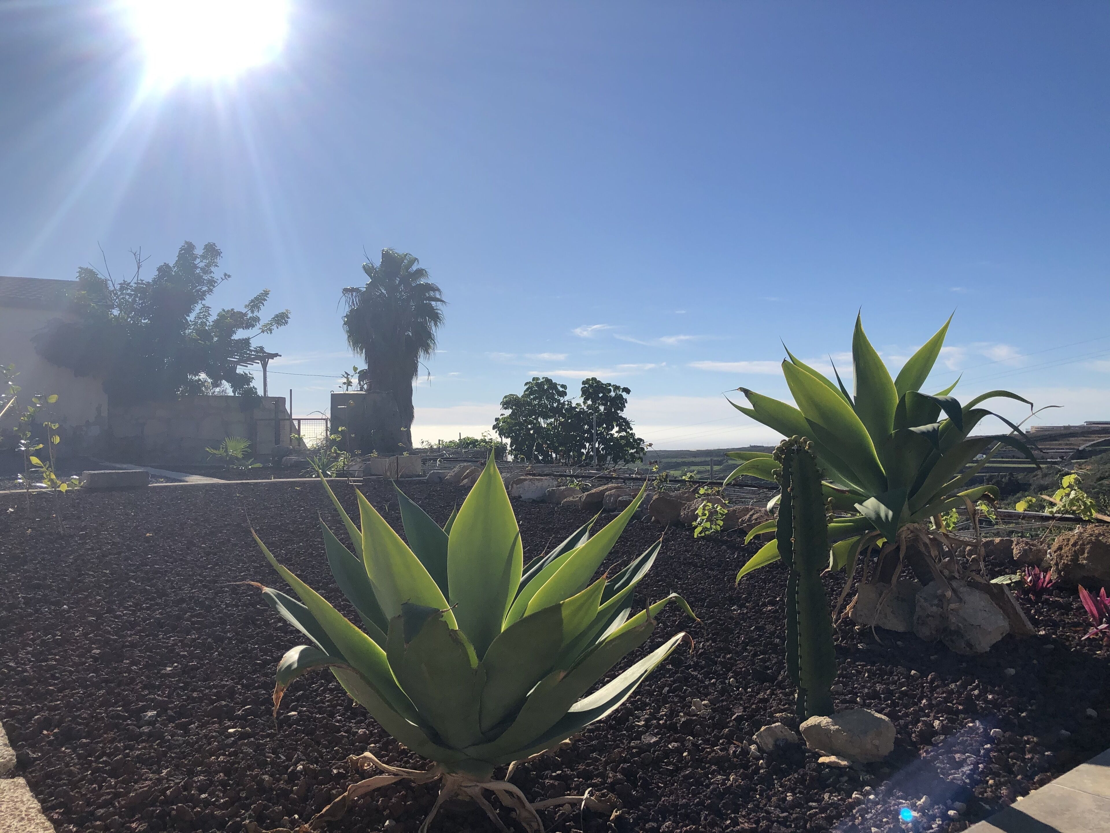 Áreas de la propiedad