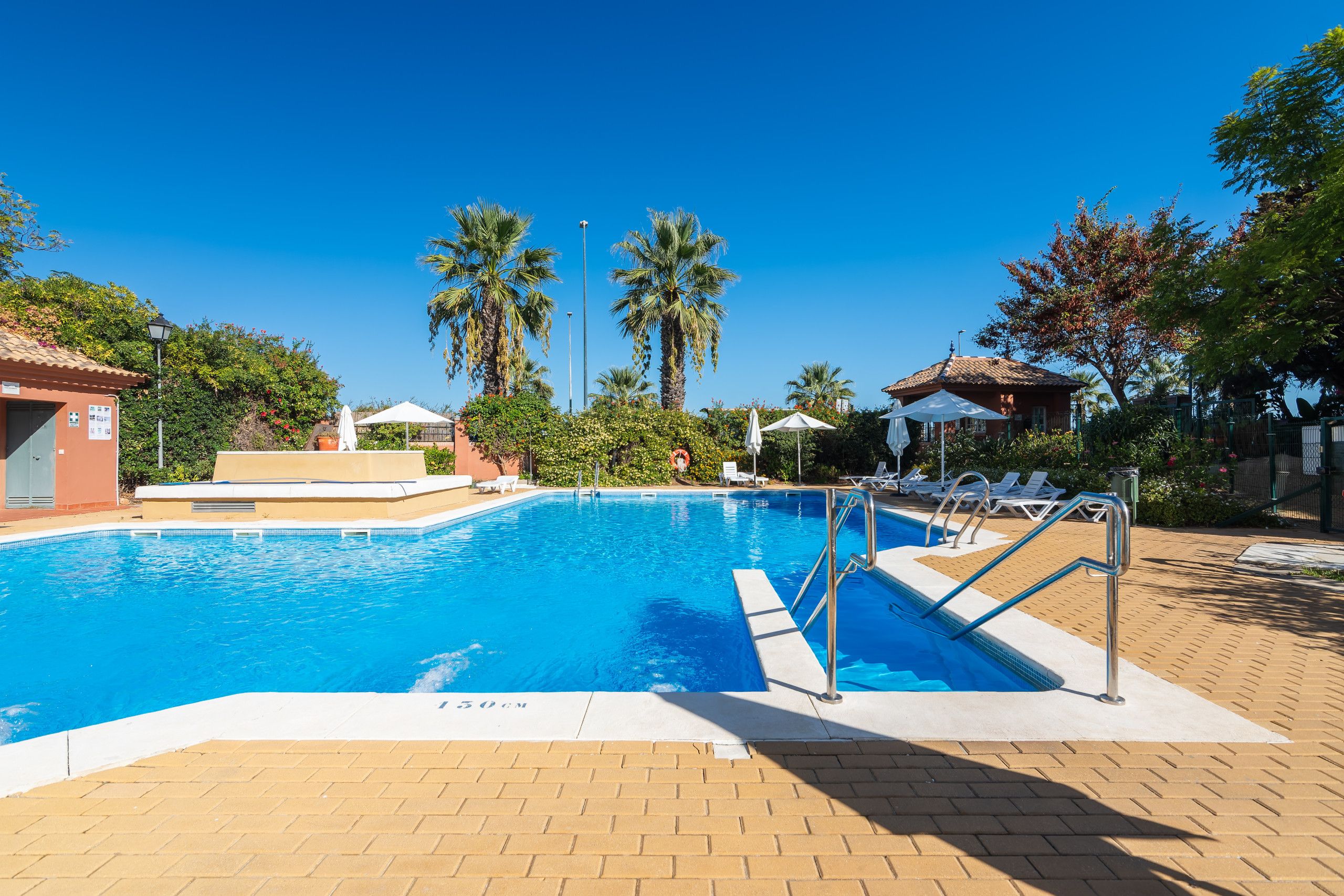 A clear blue pool with a lifeguard stand, surrounded by palm trees and lounge chairs.