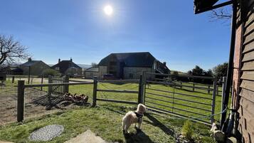 Ferienhaus | UnterkunftsgelÀnde