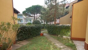 A narrow pathway flanked by neatly trimmed hedges and potted plants, leading to a building with a light-colored facade.