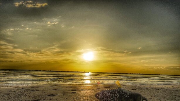 A beach scene with a sunset over the ocean. - Delta Blu Residence Village - Villetta Trilocale 19 (Lido di Pomposa)