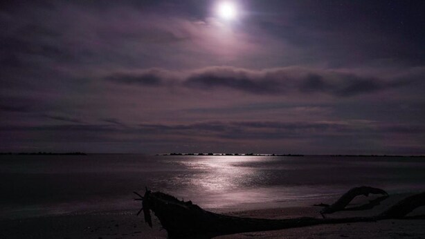 Una spiaggia di notte con una luna piena, acqua calma e una costa lontana.