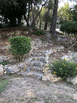 المنطقة المحيطة بالمنشأة