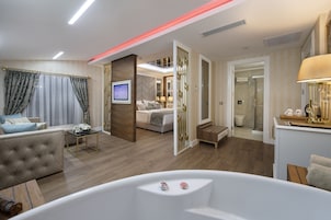 Junior Suite | Living area | 24-inch LCD TV with satellite channels, TV