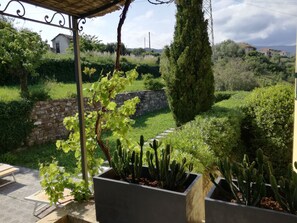 Parco della struttura
