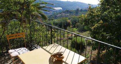 ExtraLarge Apartment Exclusive Outdoor (6 people) swimming pool olive grove sea view