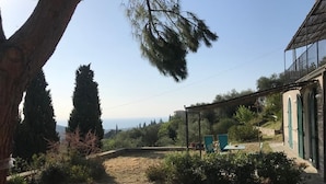A garden with a pergola, a table, and chairs.