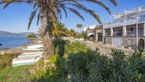 Un bâtiment situé sur la côte, doté d’un balcon donnant sur la mer, et entouré de verdure et de palmiers.