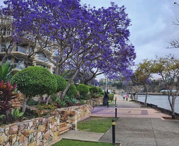 Apartment | 2 bedrooms, WiFi - 2BR Beautiful River Retreat Pool Wine Gym Netflix (Kangaroo Point)